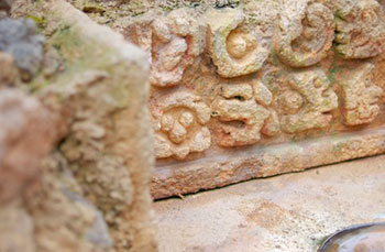 ディズニーランド