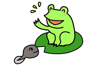 カエルの飼育