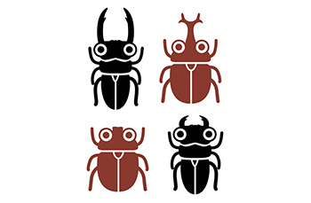 昆虫採集・標本