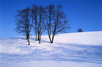 スノーハイキング・スノーハイク