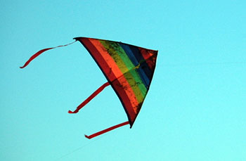 スポーツカイト