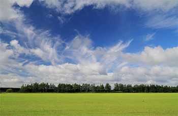 超軽量動力機・ウルトラライトプレーン
